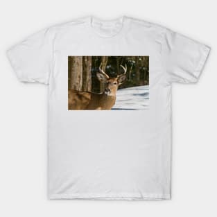 White-tailed Deer T-Shirt